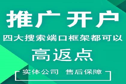 百度竞价排名实战：某电商平台的成功之路